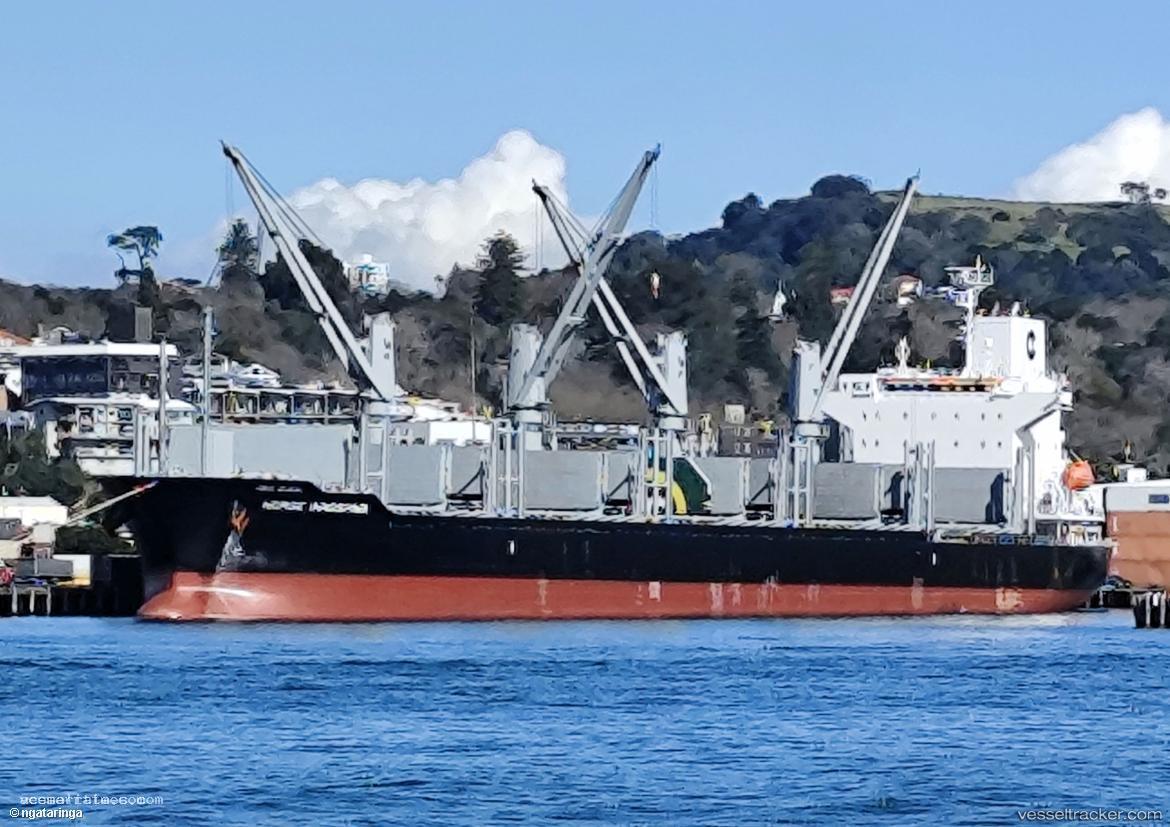Norse-Innoshima - Bulk Carrier vessel registered in Panama