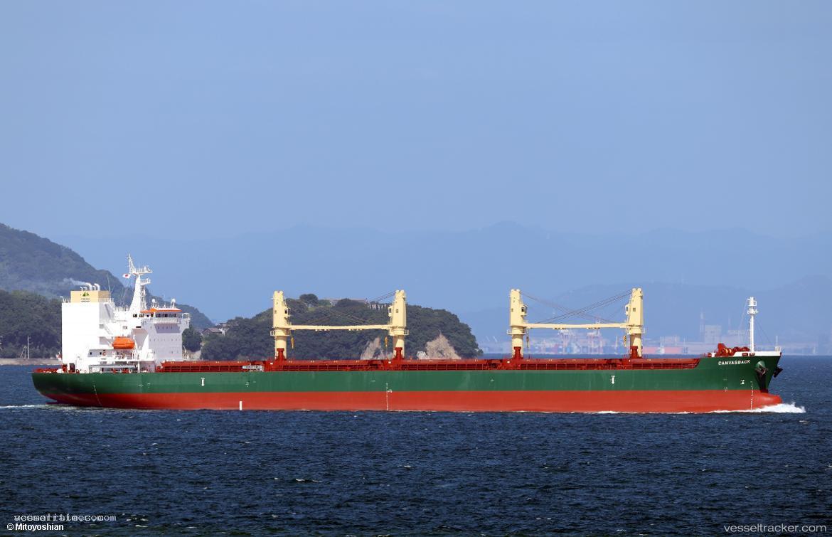 Canvasback - Bulk Carrier vessel registered in Panama
