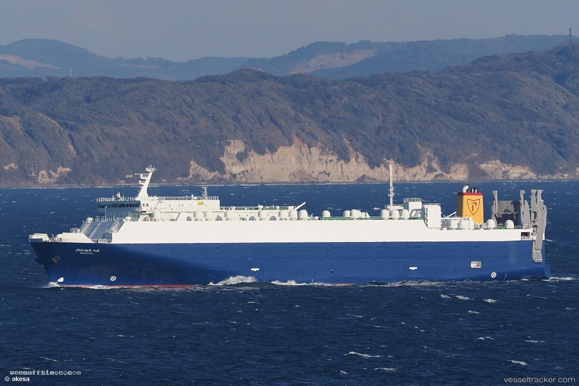 Princess-Bell - Ro Ro Cargo Ship vessel registered in Japan