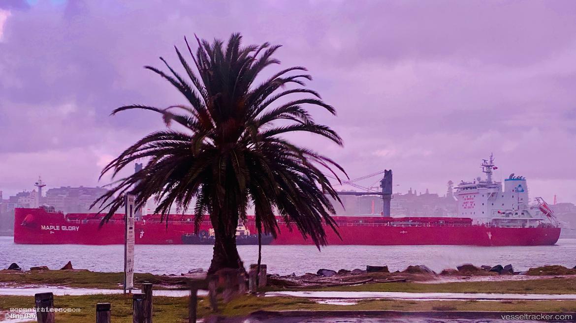 Maple-Glory - Bulk Carrier vessel registered in Singapore