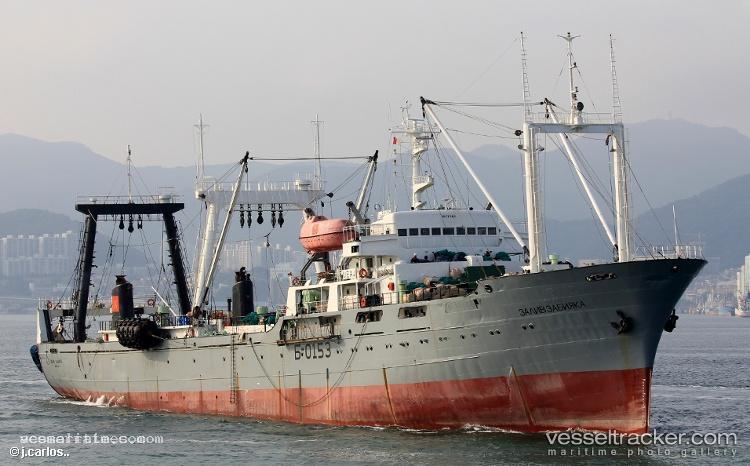 Zaliv-Zabiyaka - Fishing Vessel vessel registered in Russia