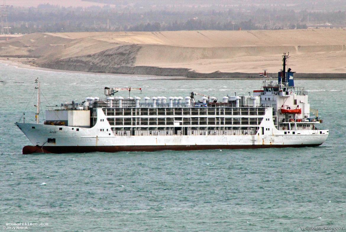 Apus - Livestock Carrier vessel registered in Togo