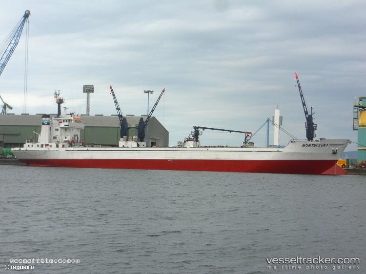 Montelaura - Refrigerated Cargo Ship vessel registered in Panama