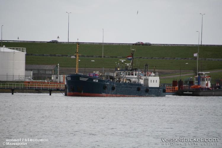 Ha36-Schillhorn - Fishing Vessel vessel registered in Netherlands