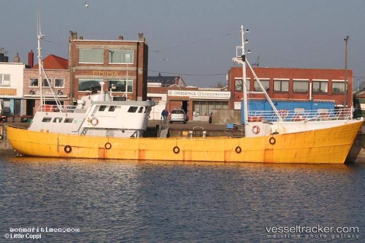 Albatros