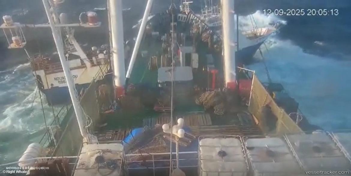 Rightwhale - Fish Factory Ship