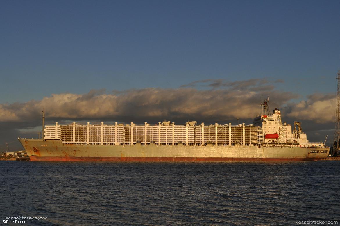 Maysora - Livestock Carrier vessel registered in Palau