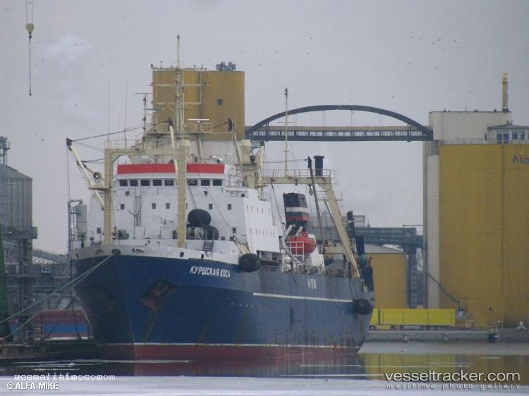Kurshskaya-Kosa - Fish Factory Ship vessel registered in Russia