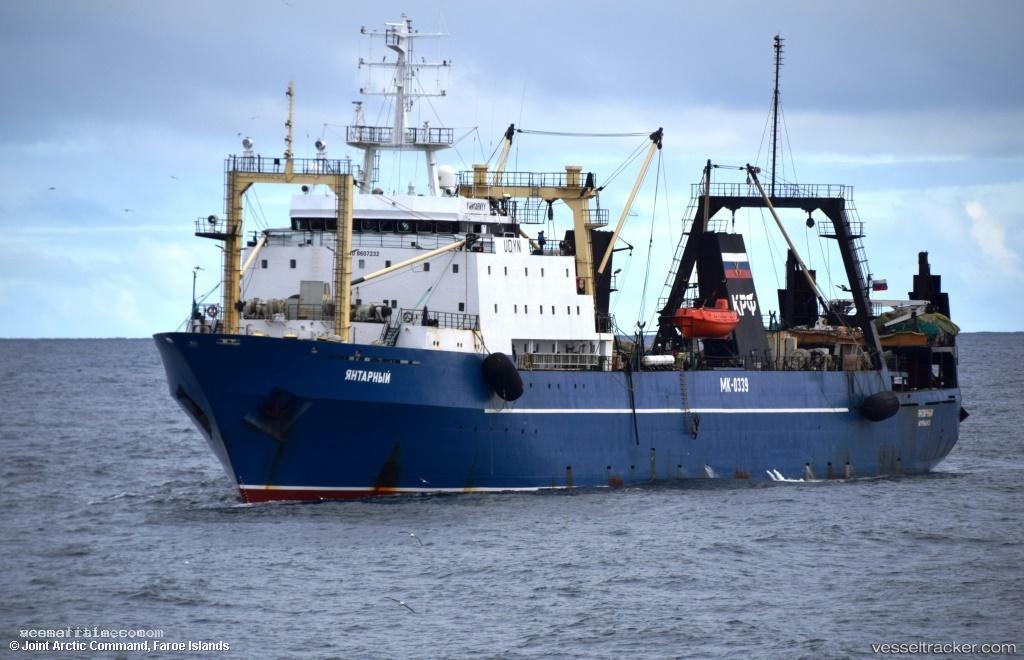 Yantarnyy - Fish Factory Ship vessel registered in Russia