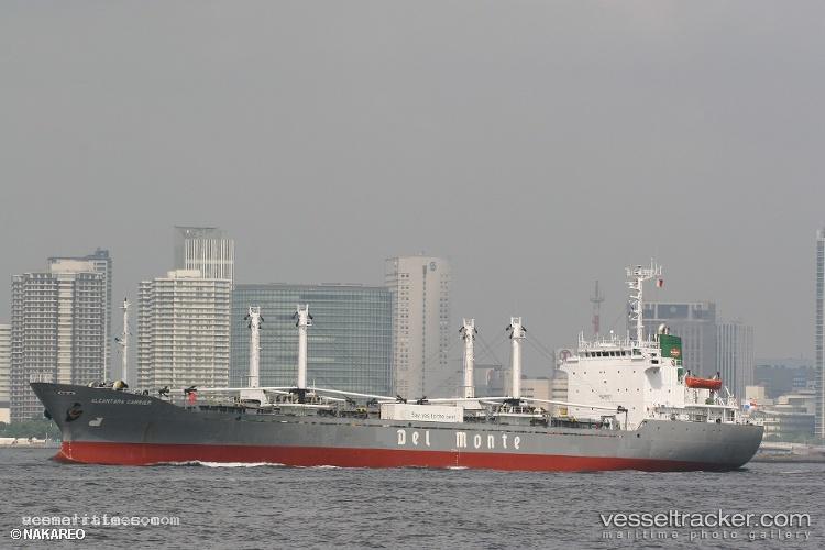 Sein-Grace - Refrigerated Cargo Ship vessel registered in Panama