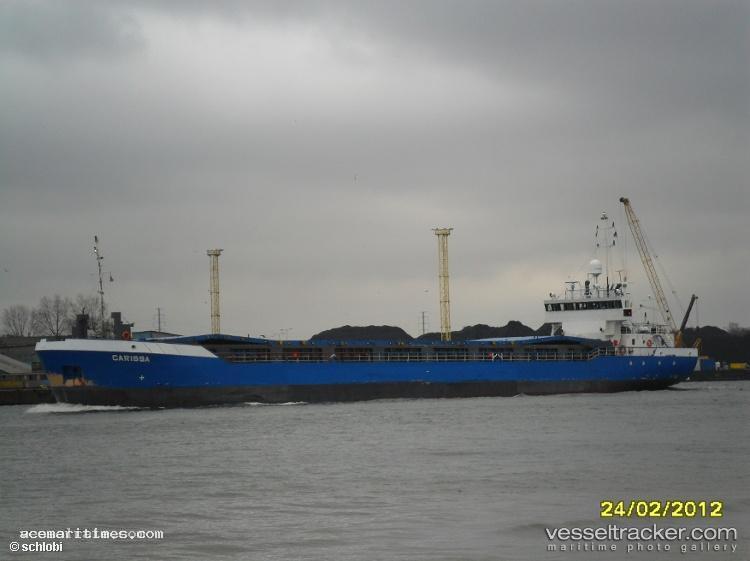 Ai-Avocet