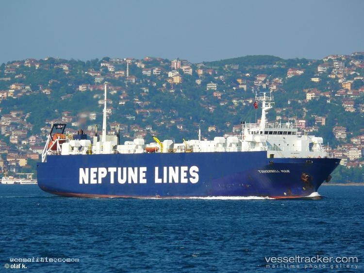 Tulip - Livestock Carrier vessel registered in Lebanon