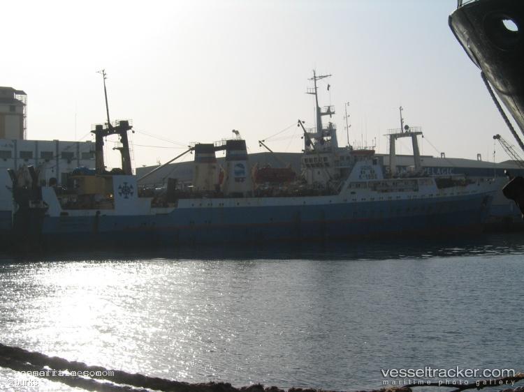 Staryy-Arbat - Fish Factory Ship vessel registered in Russia
