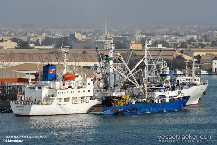 Coppename - Refrigerated Cargo Ship vessel registered in Bahamas