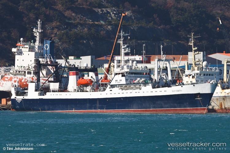 Borodino - Fish Factory Ship vessel registered in Russia