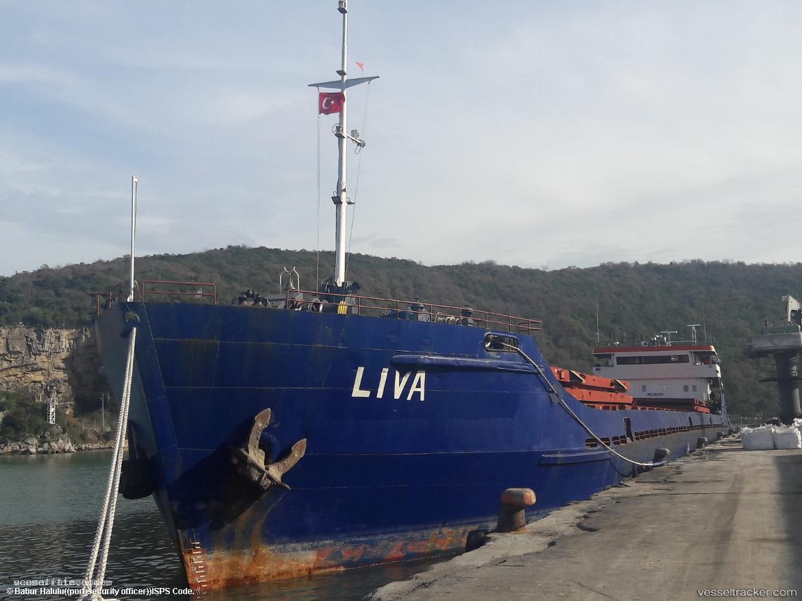 Liva - Bulk Carrier vessel registered in Cameroon