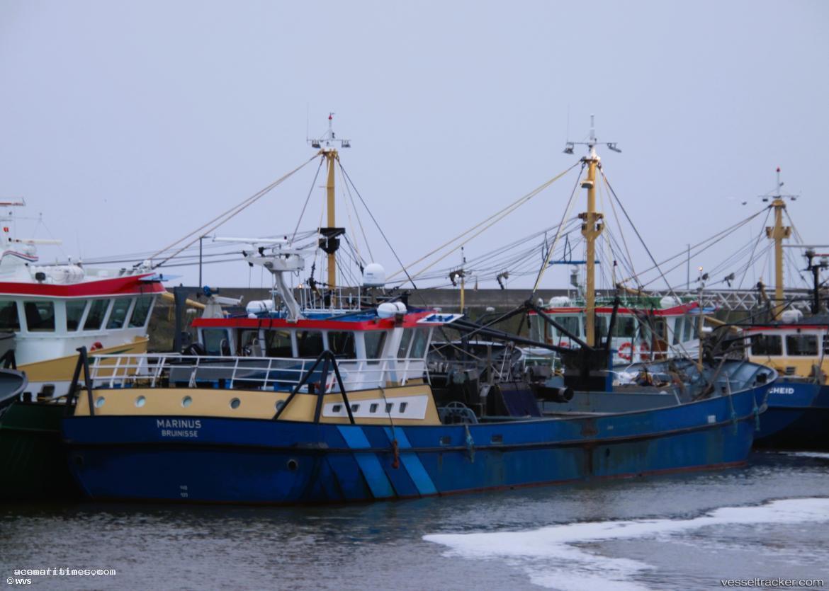 Bru-8-Marinus - Fishing Vessel vessel registered in Netherlands