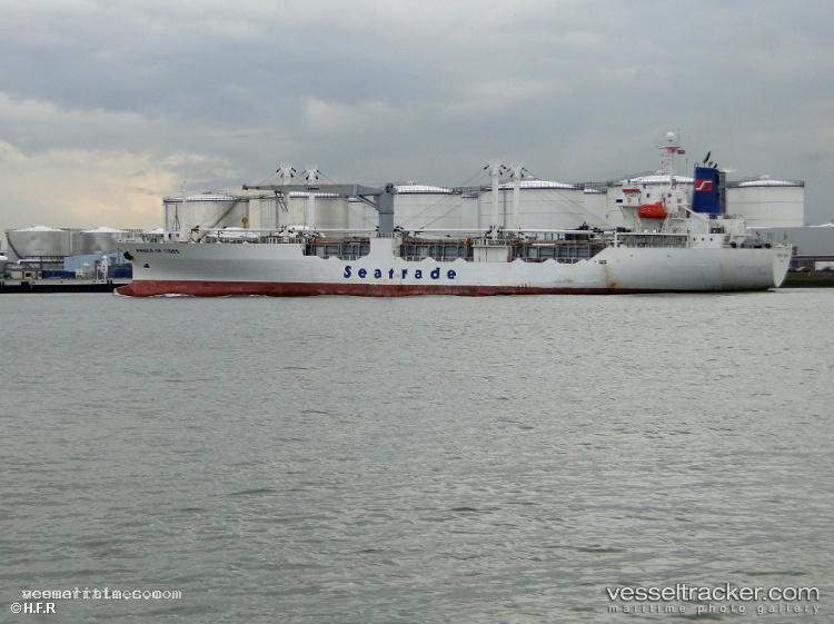 Tigr-2 - Refrigerated Cargo Ship vessel registered in Russia