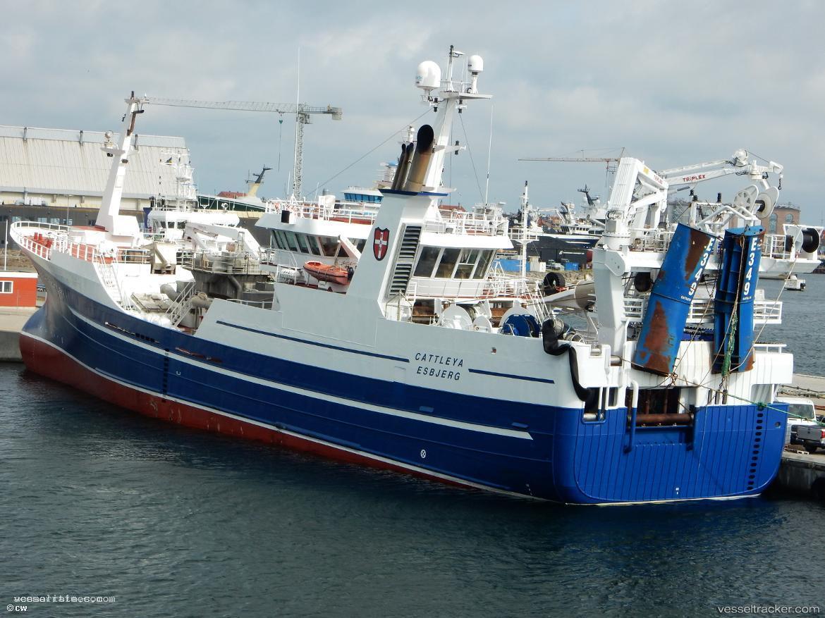 Cattleya - Fish Carrier vessel registered in Unknown