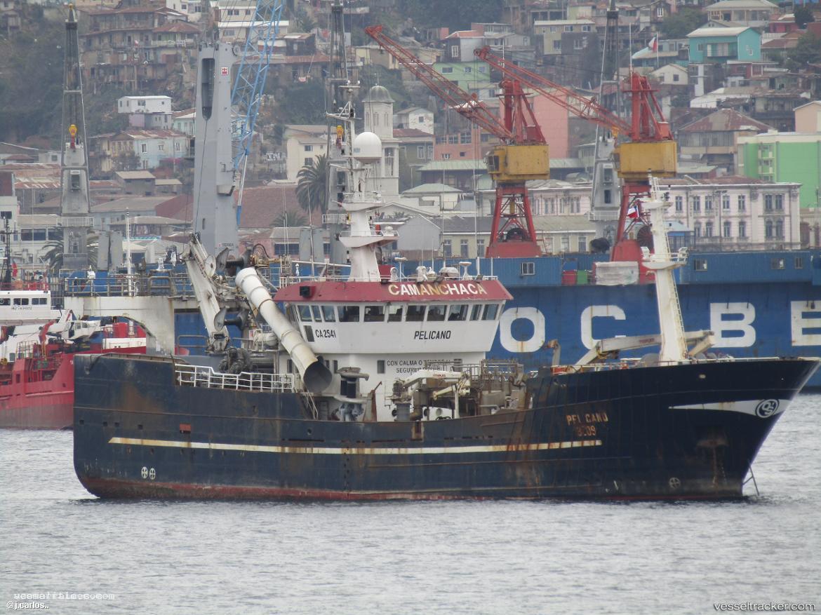 Pelicano - Fish Carrier vessel registered in Chile