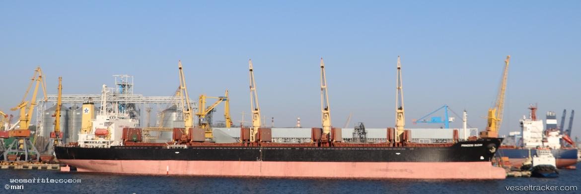 Princess-Suzan - Bulk Carrier vessel registered in Panama