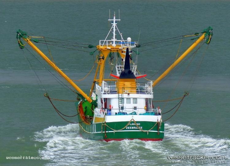 Z548-Flamingo - Fishing Vessel vessel registered in Belgium