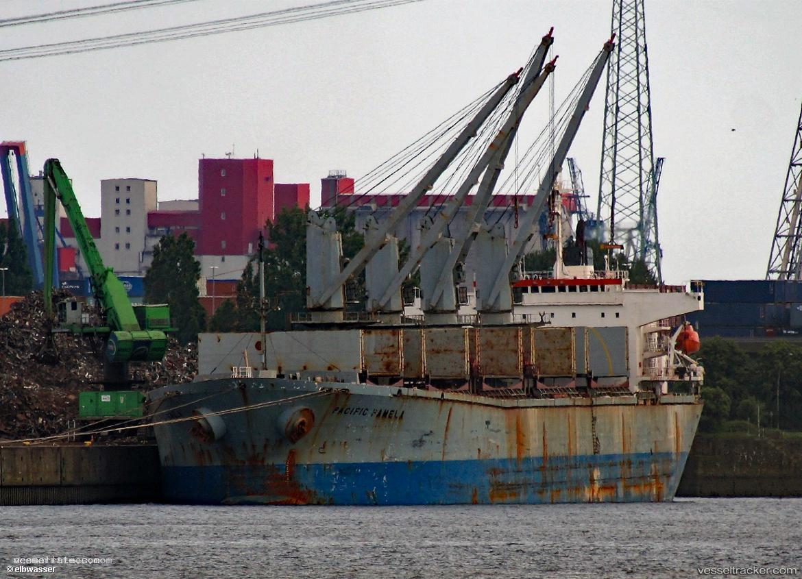 Lady-Shine - Bulk Carrier vessel registered in Tanzania