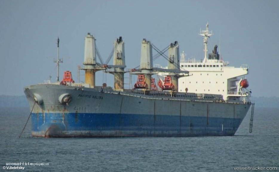 Tung-Tuan-22 - Bulk Carrier vessel registered in Panama