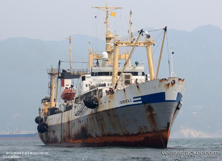 Pilenga-2 - Fish Factory Ship vessel registered in Russia