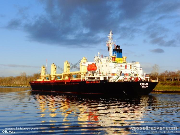 Dahlia - Bulk Carrier vessel registered in Panama