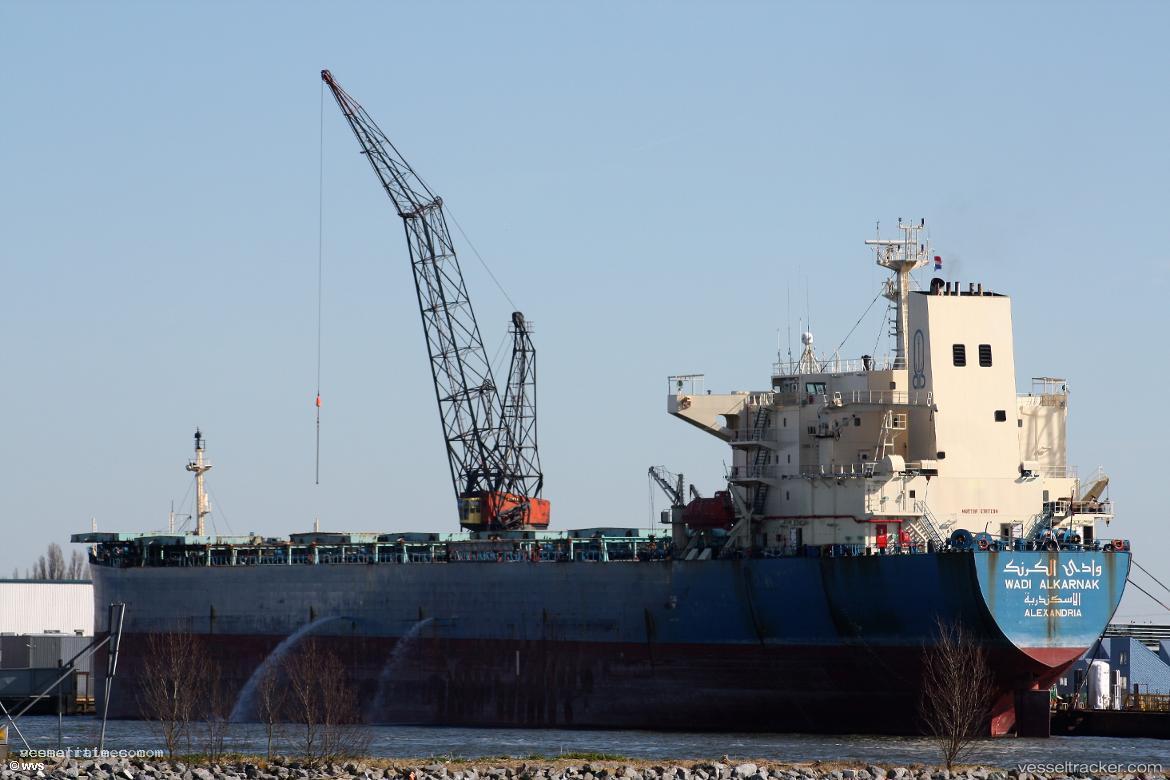 Wadi-Al-Karnak - Bulk Carrier