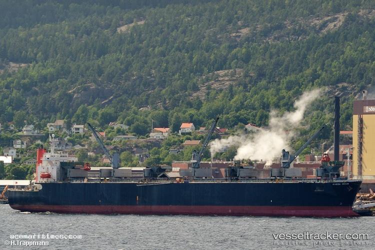 Bao-Dat-Thanh-99 - Wood Chips Carrier vessel registered in Panama