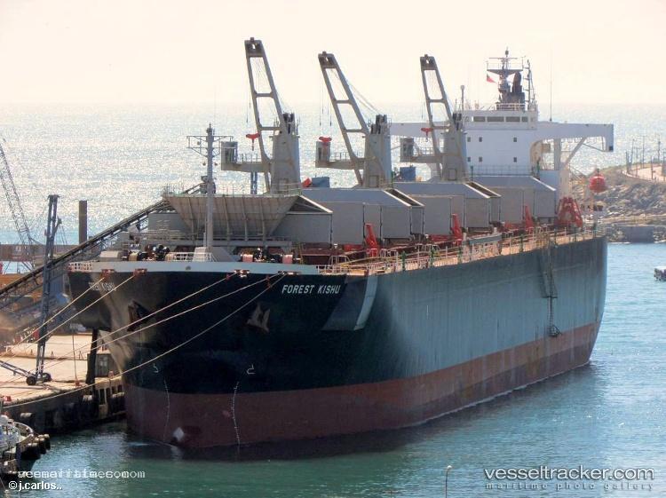 Thanh-Thanh-Dat-89 - Wood Chips Carrier vessel registered in Panama