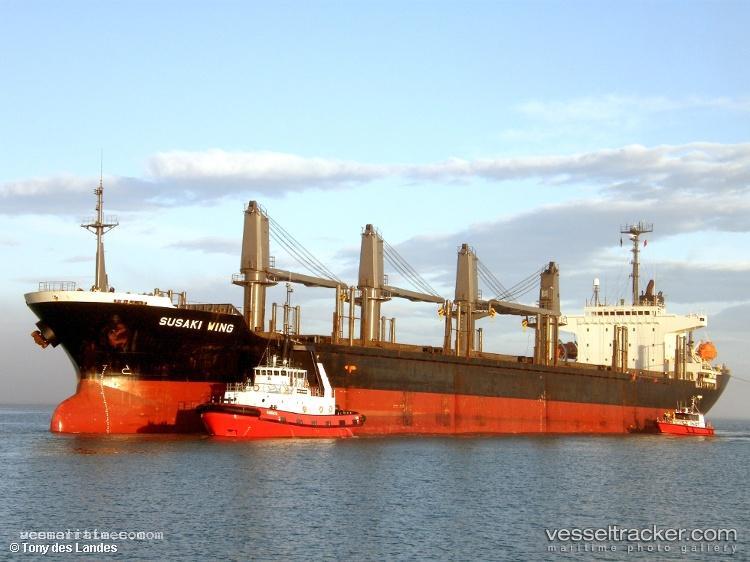 Golden-Es - Bulk Carrier vessel registered in Palau