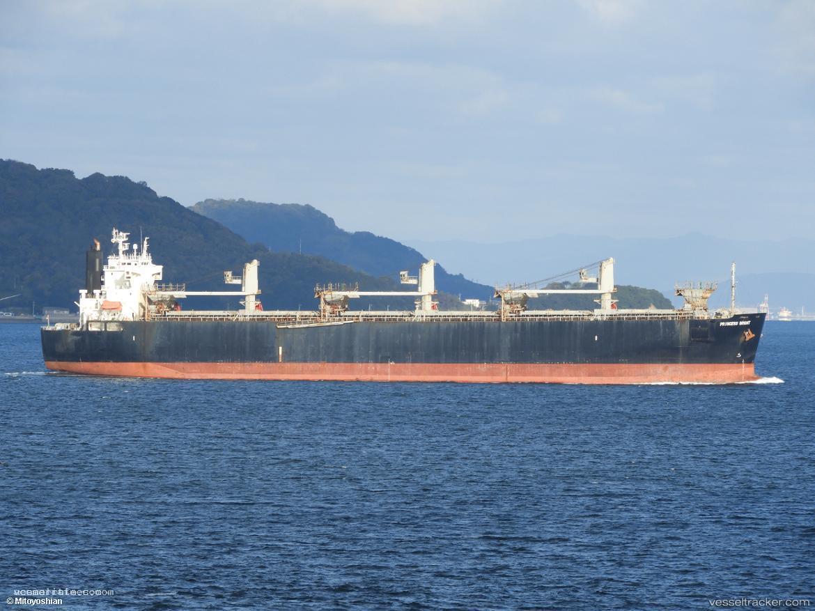 Godspeed-6666 - Wood Chips Carrier vessel registered in Panama