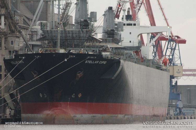 Hao-Hung-66 - Wood Chips Carrier vessel registered in Panama