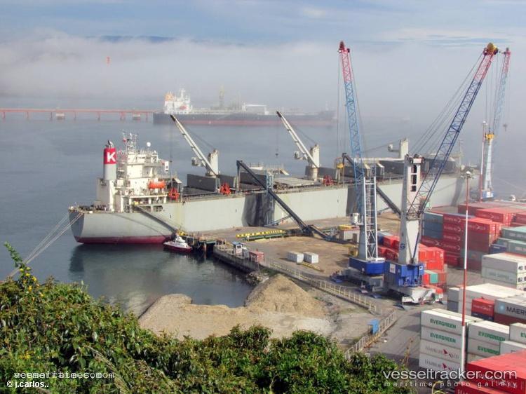 Magic-Pearl - Wood Chips Carrier vessel registered in Panama