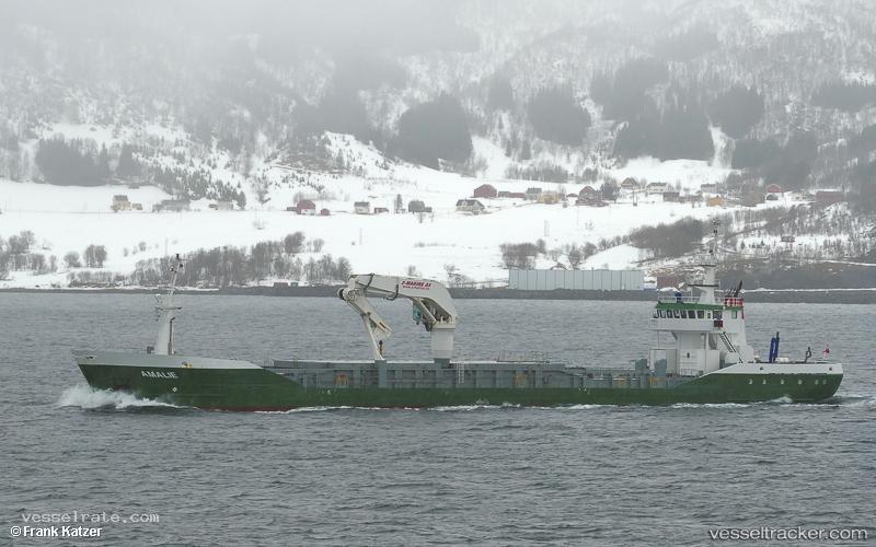 Amalie - Multi Purpose Carrier