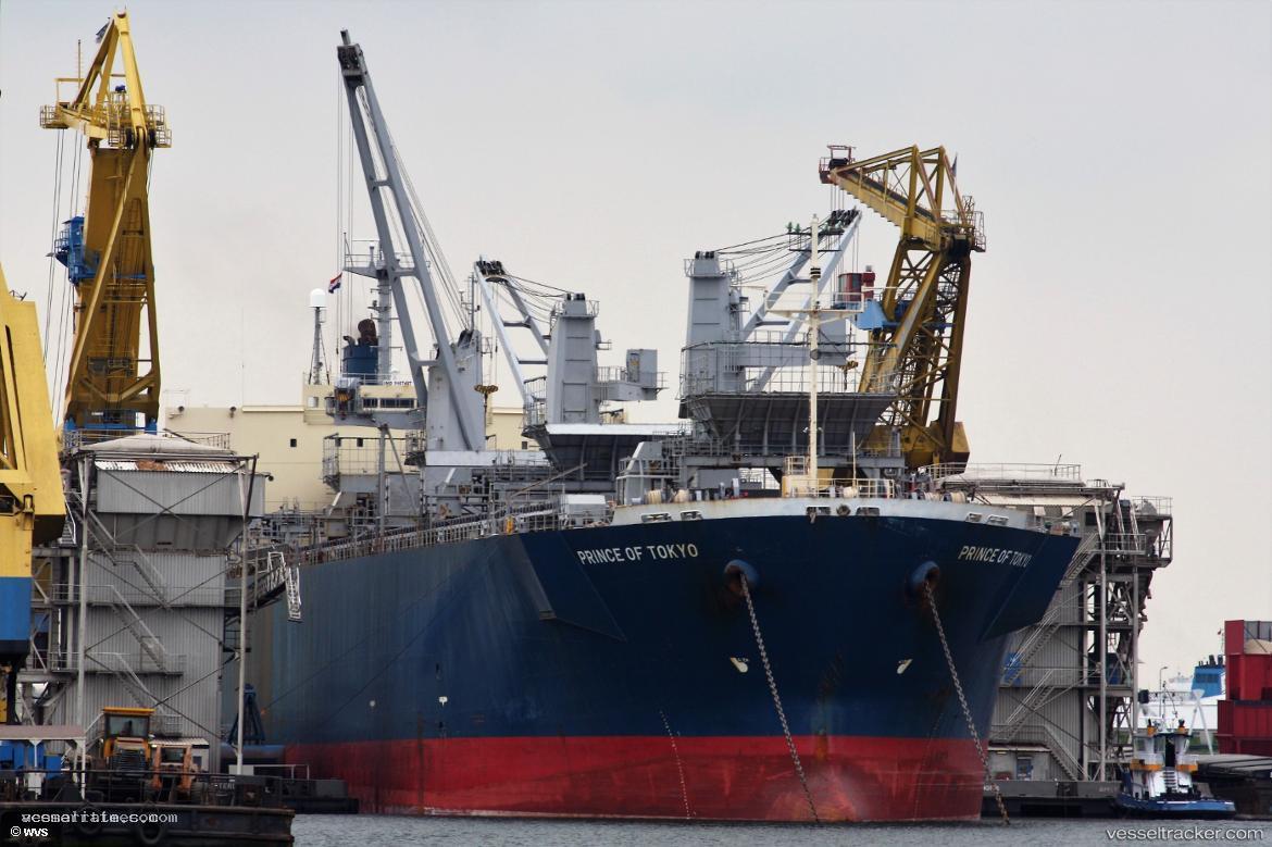 Thanh-Thanh-Dat-899 - Wood Chips Carrier vessel registered in Panama