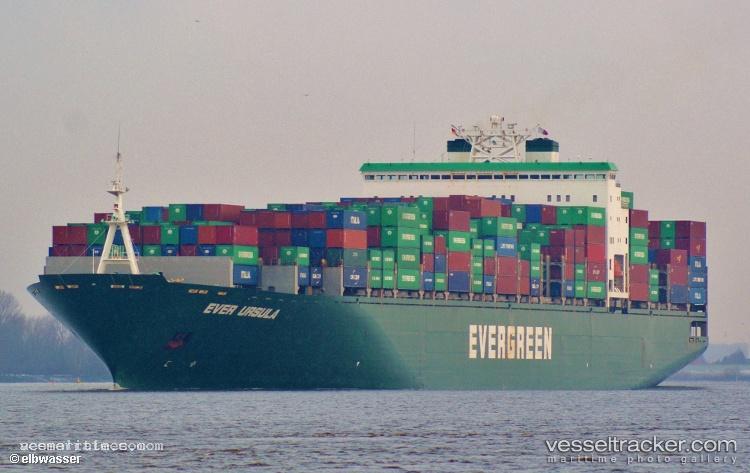 Msc-Ursula-Vi - Container Ship vessel registered in Panama