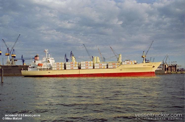 Baltic-Jasmine - Refrigerated Cargo Ship vessel registered in Cyprus