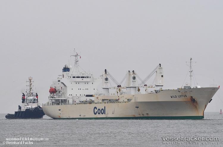 Wild-Lotus - Refrigerated Cargo Ship vessel registered in Bahamas