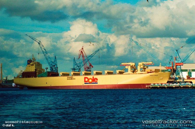 Dole-Chile - Container Ship vessel registered in Bahamas