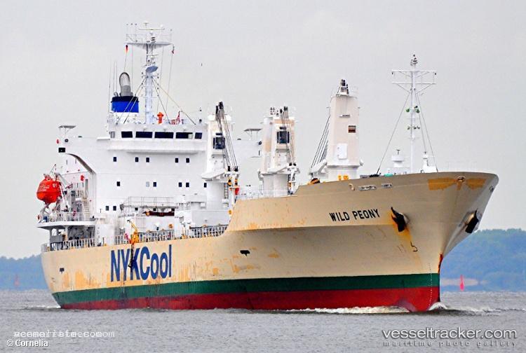 Wild-Peony - Refrigerated Cargo Ship vessel registered in Bahamas