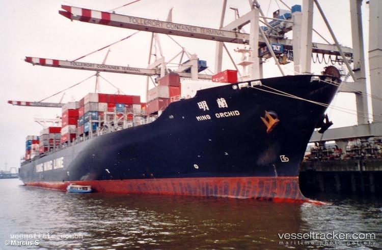 Ym-Orchid - Container Ship vessel registered in Liberia