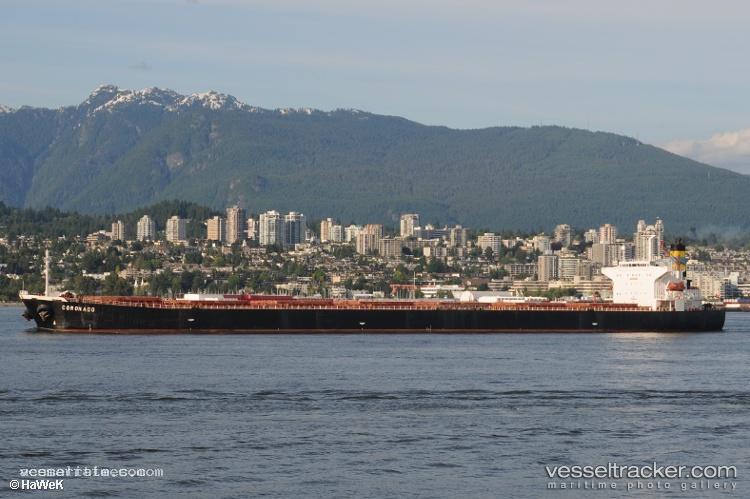 Xin-Dong-Guan-11 - Bulk Carrier vessel registered in China