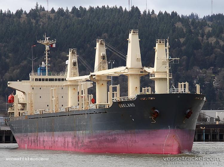 Seiyo-Lucky - Bulk Carrier vessel registered in Tanzania