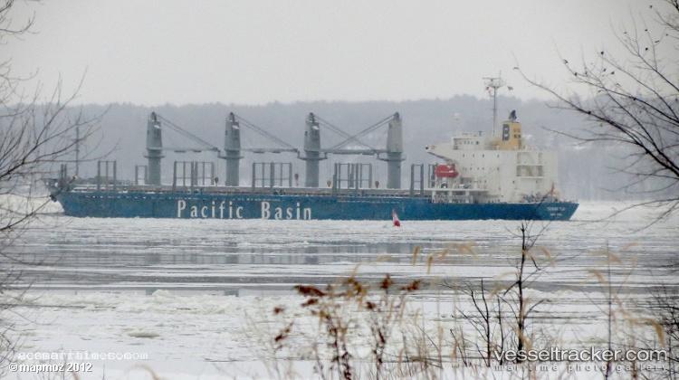 Duyen-Hai-1 - Bulk Carrier vessel registered in Panama
