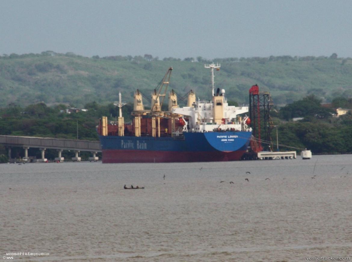 Newsun - Bulk Carrier
