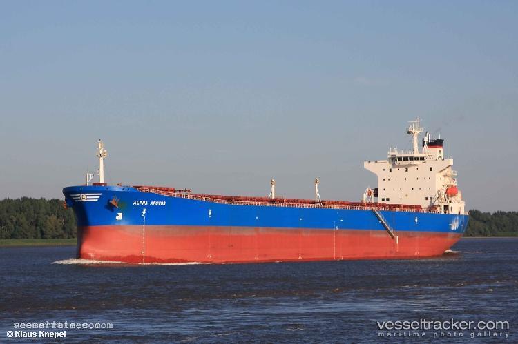 Sea-Maple - Bulk Carrier vessel registered in Panama